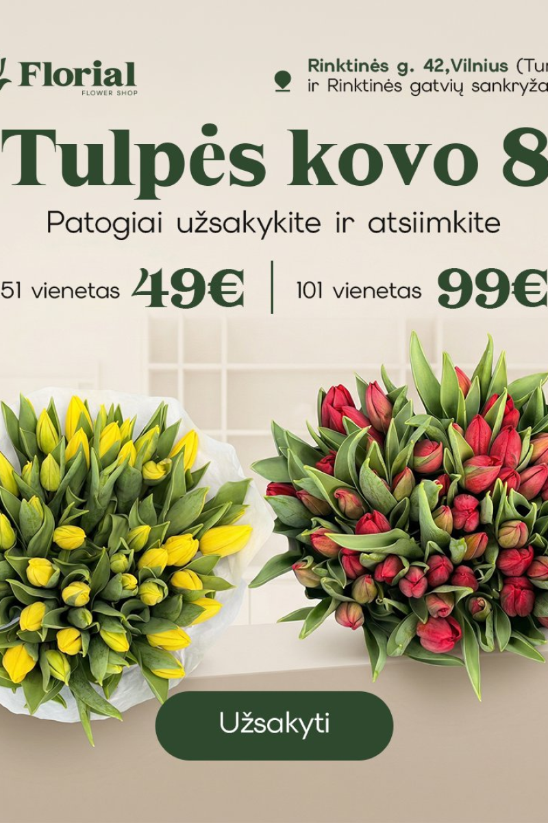 Saulėta nuotaika — 51 tulpė