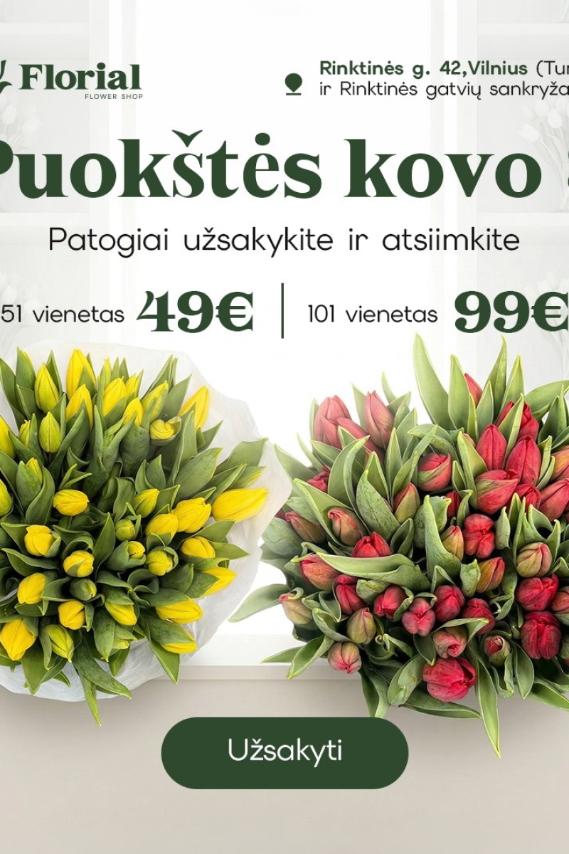 Pavasario žarija — 51 tulpė