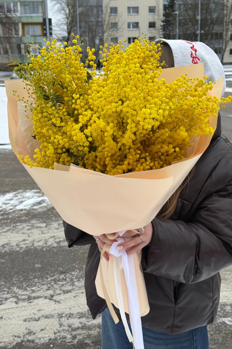 Mimozų puokštė