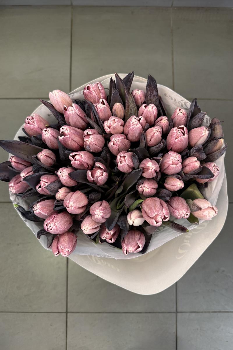 Perlamutrinė elegancija